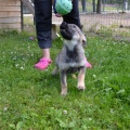 6892-6895 - Tallinn/ MIA