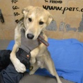 66523 - RUFO (RUDI)