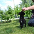 6892-6895 - Tallinn/ MIA