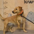 55463 - KIRA