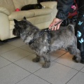 77646 - BARTOLOMEO