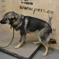 58774 - MASHA