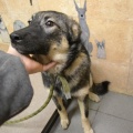 58774 - MASHA