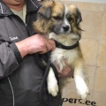 65477 - JACK