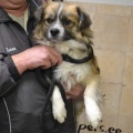 65477 - JACK