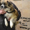 65477 - JACK