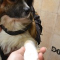 65477 - JACK