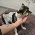 90214 - BETTI