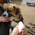 65477 - JACK