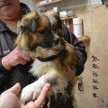 65477 - JACK