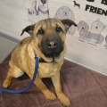79541 - TEDDY (MY TEDDY)