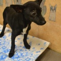 66055 - DOBY