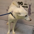 92257 - HEINA
