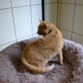 240142 - OLEG