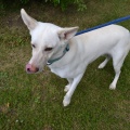 91317 - BELLA