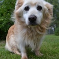 91318 - MISHA
