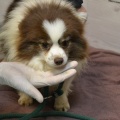 90030 - ROXY