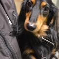 65598 - NIKA
