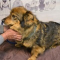 90042 - CHARLIE