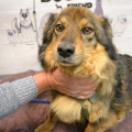 90042 - CHARLIE