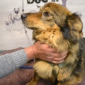 90042 - CHARLIE