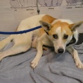 91204 - BARNEY
