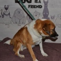 82926 - JACKY