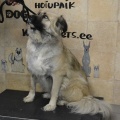 64309 - ALMA