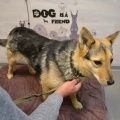 90048 - SIMA