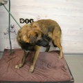 80722 - NORIS