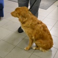 84578 - TOLLER
