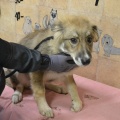 64892 - BARNEY