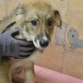 64892 - BARNEY