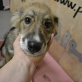 64892 - BARNEY