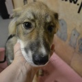 64892 - BARNEY
