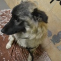 64894 - VASYA