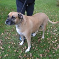 87943 - ZOE