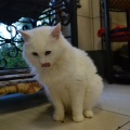 81292 - CASPER (ZEFIR)