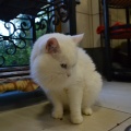 81292 - CASPER (ZEFIR)