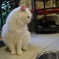 81292 - CASPER (ZEFIR)