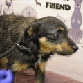 85522 - TUSYA