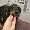 85522 - TUSYA