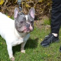 85652 - FRANCK