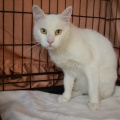 86272 - MARVIN