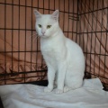 86272 - MARVIN