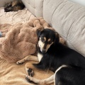 89259 - SALLY (LOLA)
