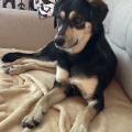 89259 - SALLY (LOLA)