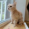 232180 - OLIVIA