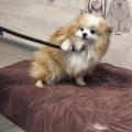 90401 - MISSY
