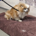 90401 - MISSY